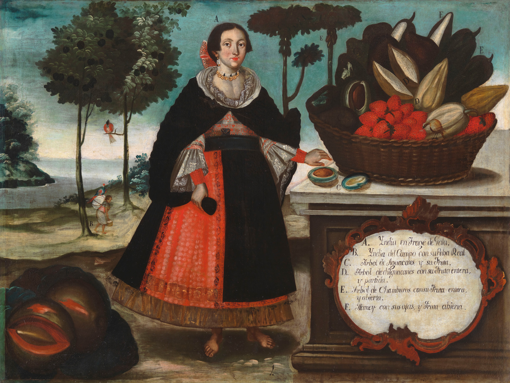 Colorful oil painting of a Native South American woman wearing a gold necklace, a white lace sleeved blouse, a red skirt, and a black overcoat standing next to a basket of large tropical fruit on a wooden stand. Fruit-filled trees and water are visible in the background.