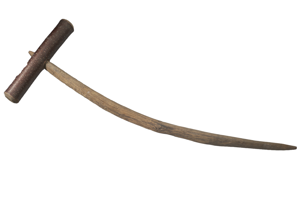 A T-shaped Native American wooden digging tool comprised of a two-handed cross-piece set upon a 2.1ft curved shaft with a pointy top end.
