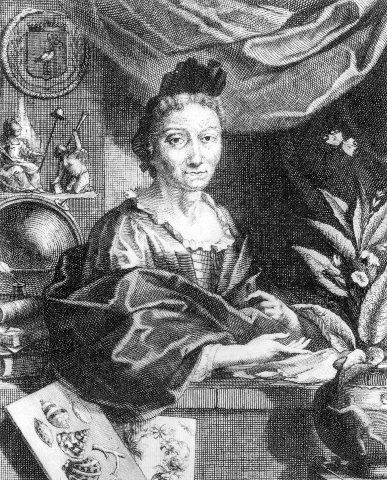 Copperplate portrait of middle-aged Maria Sibylla Merian surrounded by a plant to the right, drawings of shell, insect, and plant specimens to the left, and a pile of books and a globe in the background.